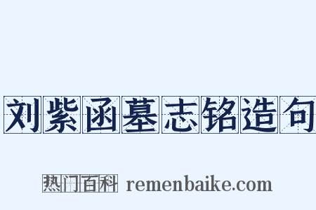 刘紫函墓志铭造句是什么意思的图片